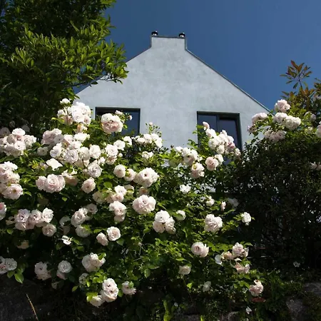 Sonnensteg 23 Apartman *