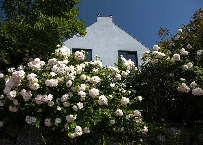 Sonnensteg 23 Apartmán *